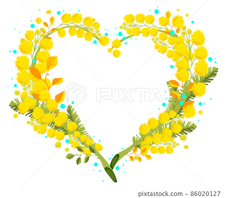 Yellow mimosa acacia heart shape symbol international womens day holiday 86020127