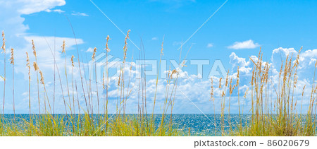 sunny beach with sand dunes and blue sky sunny beach with sand dunes and blue sky 86020679