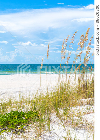 Pink umbrella Pink umbrella 86020800