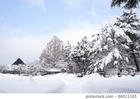 Giant trees in Kakunodate covered with snow in winter 86021105