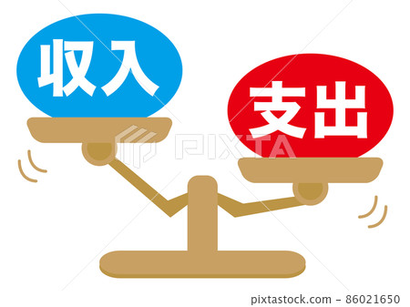 收入/支出 86021650