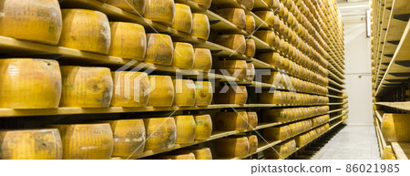 Parmigiano Cheese factory production shelves with aging cheese i Parmigiano Cheese factory production shelves with aging cheese i 86021985