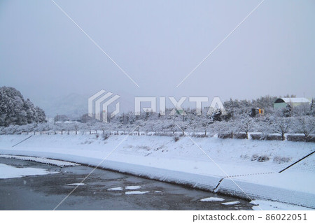下雪的早晨 筱山川 新田橋的風景 1月 下雪的早晨 筱山川 新田橋的風景 1月 86022051