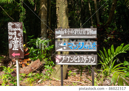 西表島由布島 西表島由布島 86022317