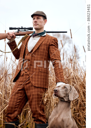 attentive nice Hunting dog waiting to get command from gamekeeper. 86023481