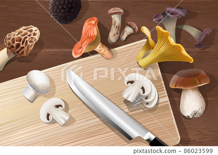 Vector background with various kind of edible mushrooms 86023599