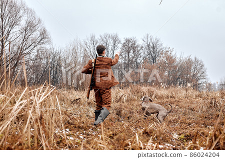 hunter dog leads owner man to the side, directs. in countryside nature, rural place. hunter dog leads owner man to the side, directs. in countryside nature, rural place. 86024204