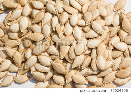 Pumpkin seed Pumpkin seed 86024596