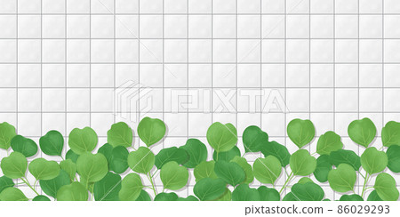 白色瓷磚牆壁和植物的插圖 背景材料 橫幅材料 86029293