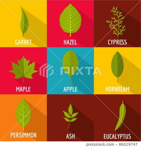 Part of the tree icons set, flat style 86029747