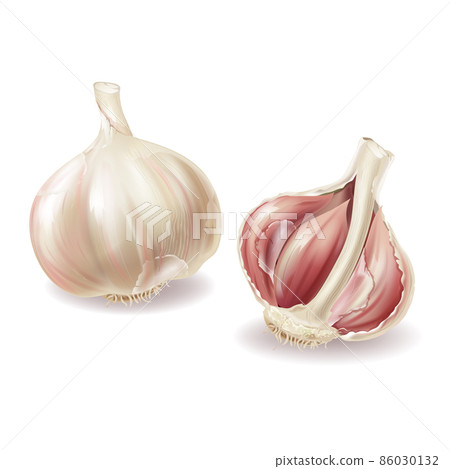 Vector 3d realistic garlic set, spicy condiment 86030132