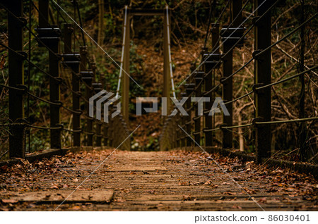Suspension Bridge 86030401
