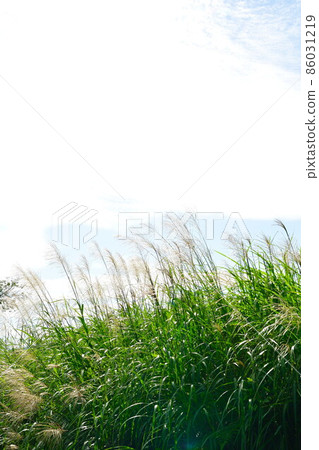 Echigo Herb Koen Irihirose View Square (Niigata Prefecture) Echigo Herb Koen Irihirose View Square (Niigata Prefecture) 86031219