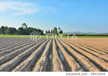 Lines of soil made by tractors has blue sky and mountain background ,agriculture in Thailand 86031644