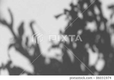 Shadow overlay effect. Blur shadows of plants and tree leaves on a white clean wall. 86031974
