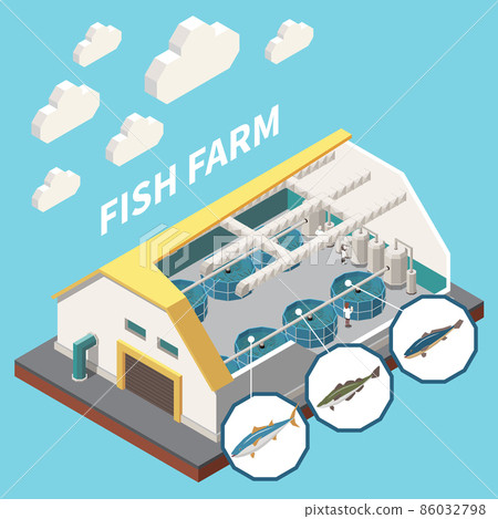 Industrial Fish Production Isometric 86032798