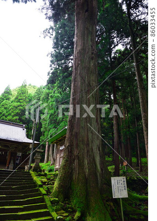 八木神社（新潟縣） 86033455