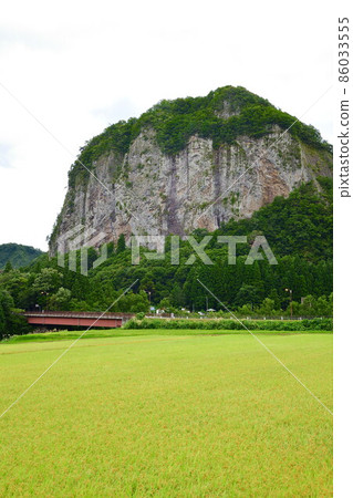 Yagigahana (Niigata Prefecture) 86033555