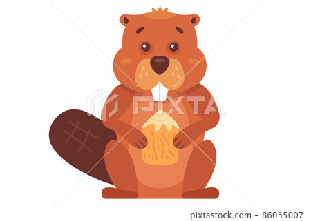 a brown beaver gnaws at a tree to build a dam. forest dweller 86035007