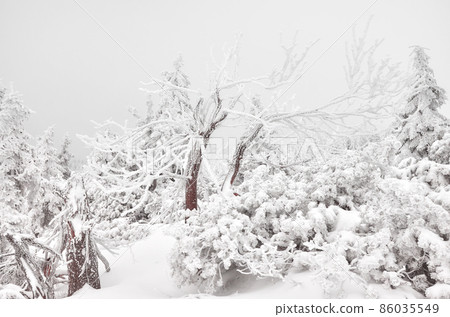 Beautiful winter mountain landscape with snow covered trees. Beautiful winter mountain landscape with snow covered trees. 86035549