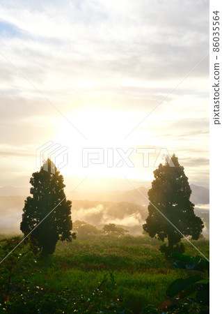 從山本山高原看日出（新潟縣） 86035564