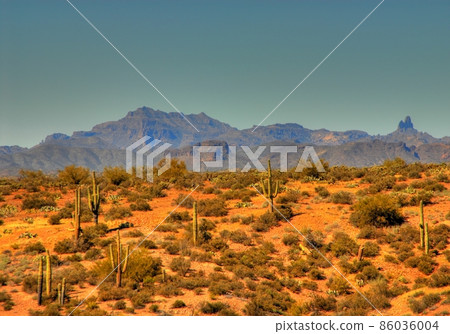 Desert Mountain 107 86036004