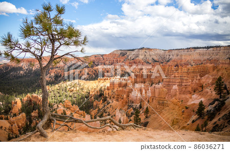 Bryce canyon Bryce canyon 86036271