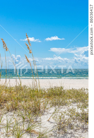 Pink umbrella 86036417