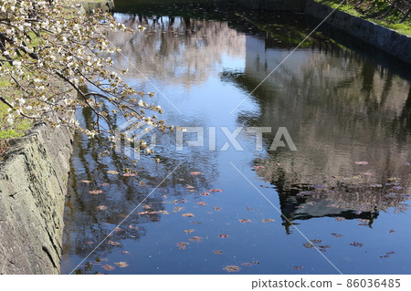 Hokkaido Matsumae Spring Matsumae Castle Hokkaido Matsumae Spring Matsumae Castle 86036485