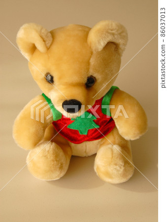 Teddy Bear Teddy Bear 86037013