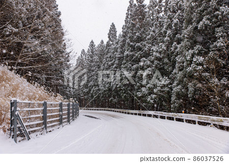 四國德島冬季白雪路 86037526