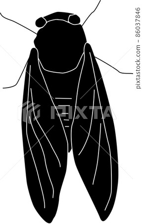 Semi silhouette Semi silhouette 86037846