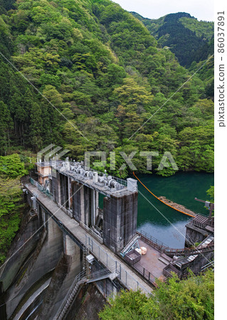 Tokyo / Fresh green Shiromaru adjustment pond (Shiromaru Dam) Tokyo / Fresh green Shiromaru adjustment pond (Shiromaru Dam) 86037891