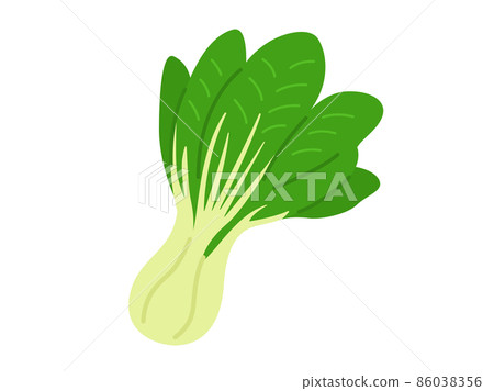 白菜蔬菜的插圖 86038356