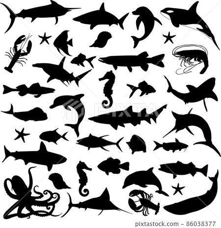 sea animals silhouettes collection - vector sea animals silhouettes collection - vector 86038377