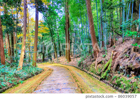 The approach to Shodenji Temple in Kyoto The approach to Shodenji Temple in Kyoto 86039057