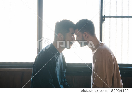 Homosexual couple / diversity / LGBTQ / gay couple image 86039331