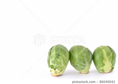 Bud Bud 86040042