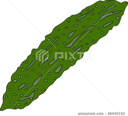 Illustration material of bitter gourd Illustration material of bitter gourd 86040192