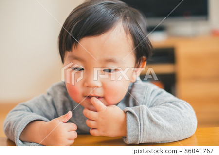 2-3 Year, 2-years-old, younger 86041762