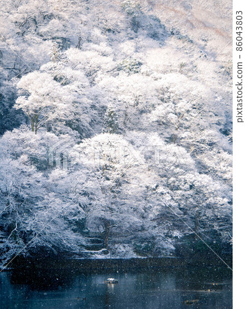 Fantastic snow scene of Arashiyama 86043803