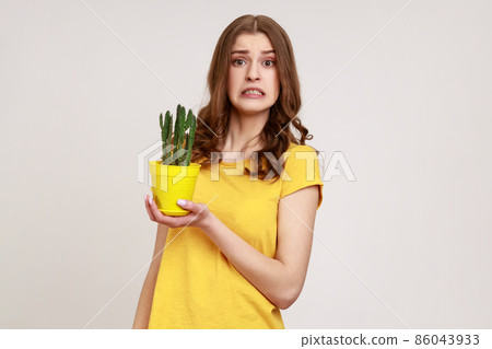 Portrait of attractive young female wearing yellow casual T-shirt holding tricky cactus in flower pot in hands and frowning face, looking at camera. Indoor studio shot isolated on gray background. 86043933