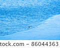 Kawaguchiko Blue Surface-2 86044363