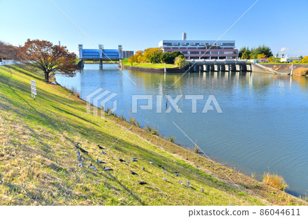 Shibakawa Watergate, Shin-Shibakawa Drainage Pump Station / Around Shin-Shibakawa (Kawaguchi City, Saitama Prefecture) [2021.11] 86044611