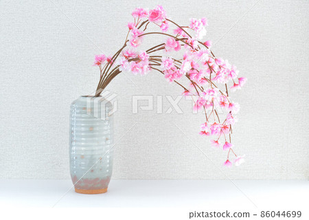 Weeping cherry tree Weeping cherry tree 86044699