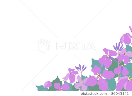 Murasaki Hanana (purple flower greens) Shokatsusai (Morokatsu greens) Flower field landscape illustration frame of flower radish Postcard size horizontal type Murasaki Hanana (purple flower greens) Shokatsusai (Morokatsu greens) Flower field landscape illustration frame of flower radish Postcard size horizontal type 86045141