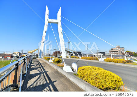 Inari Bridge / Around Shin-Shiba River (Kawaguchi City, Saitama Prefecture) [2021.11] 86045572