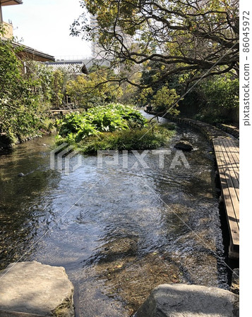 (Mishima City, Shizuoka Prefecture) Promenade of the Genbei River 86045972