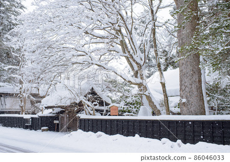Beautiful winter Kaede Kakukan Aoyagi family 86046033