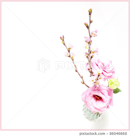 A bouquet of images waiting for spring A bouquet of images waiting for spring 86046668